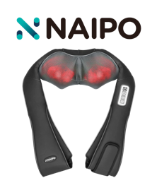 Logo Naipo
