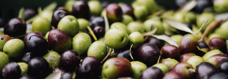 Imge of Are Olives Keto-Friendly?