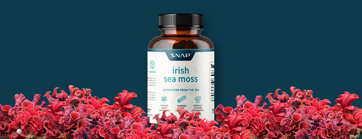 Irish sea moss image