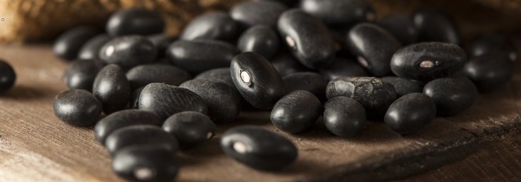 Imge of Are Black Beans Keto-Friendly?