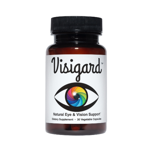 Logo Visigard
