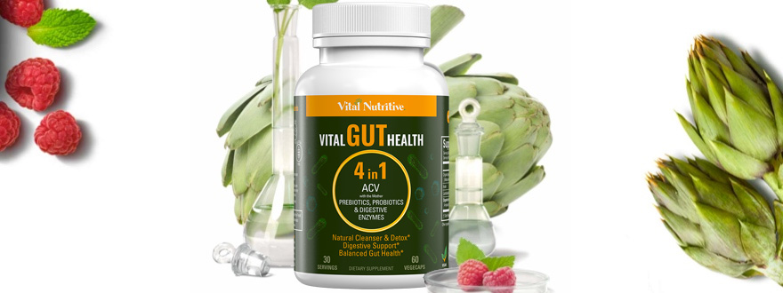 Vital Gut Health 4in1 image