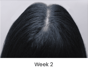 Week 2 Progress