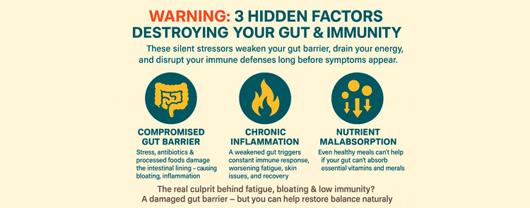 Image WARNING: These 3 Hidden Factors Are Silently Destroying Your Gut & Immunity