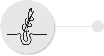 Image Detoxify and Revitalize: