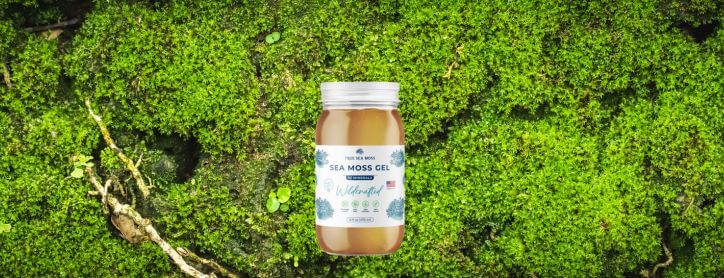 True Sea Moss Gel image