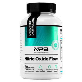 Logo Nitric Oxide Flow