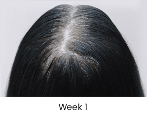 Week 1 Progress