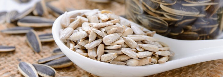 Imge of Are Sunflower Seeds Keto-Friendly?