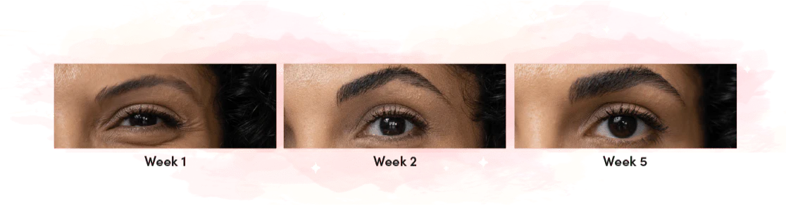 Stunni Trasnformation pc