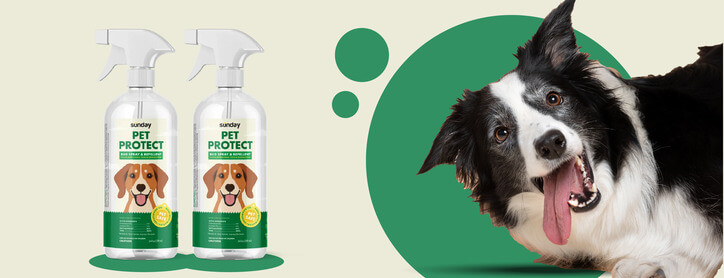 Pet Protect Bug Spray image