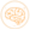 Lion's Mane + Cordyceps for Improved Focus, Memory & Mental Clarity