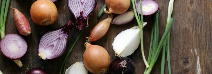 Imge of Are Onions Keto-Friendly?