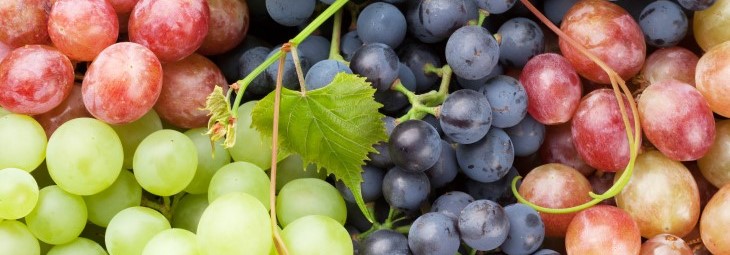 Imge of Are Grapes Keto-Friendly?