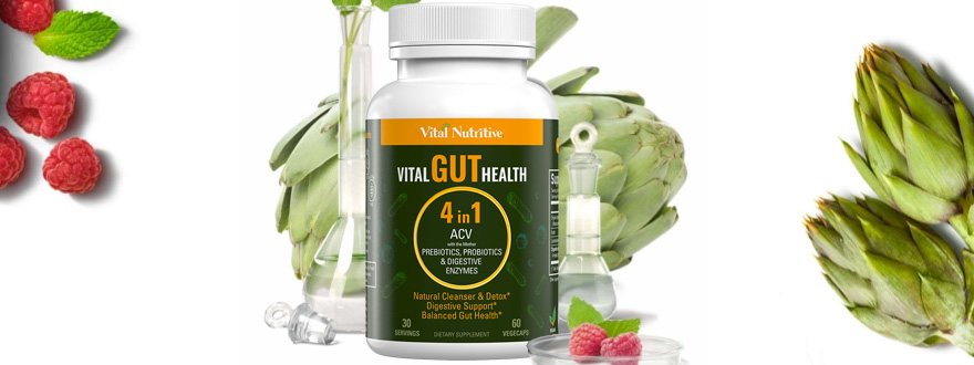 Vital Gut Health image