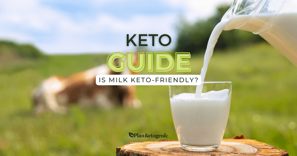 Is Milk KetoFriendly? PlanKetogenic