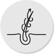 Image Detoxify and Revitalize: