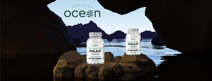 One Per Day Shilajit image