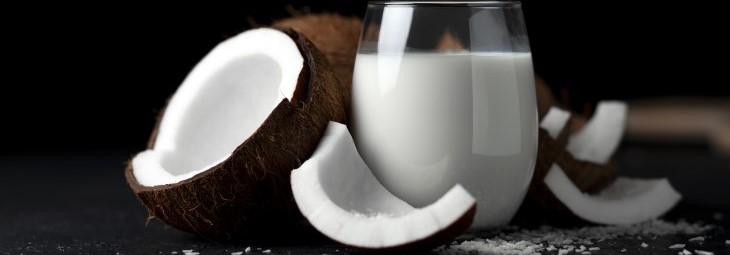 Imge of Is Coconut Milk Keto-Friendly?