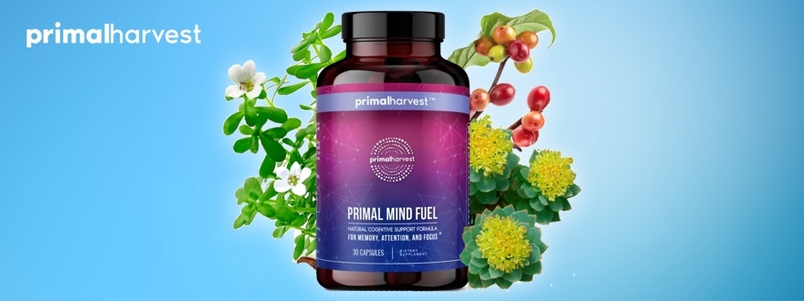 Primal Mind Fuel Nootropics image