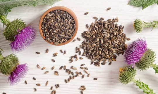 Top 5 Best Milk Thistle Supplements 2020