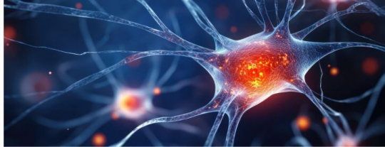 Top 5 Best Nerve Relief Supplements