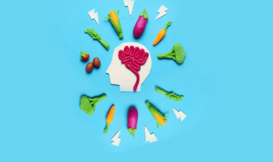 Top 5 Memory Supplements